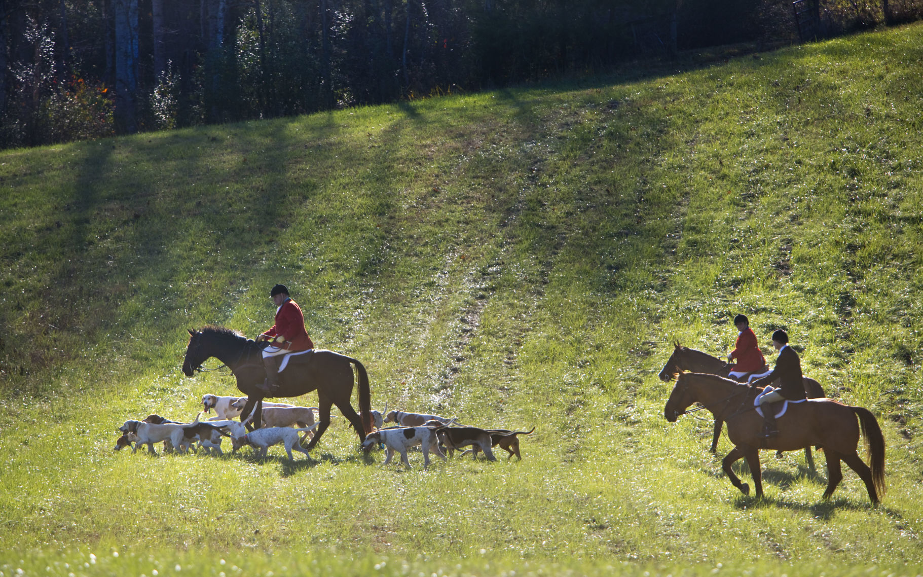 skd RockbridgeHunt 110219 p12